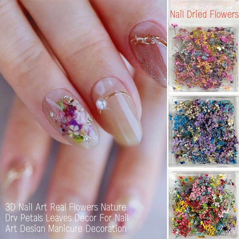 Dried Flower Bulk - Смешанные маленькие сушеные цветы для дизайна