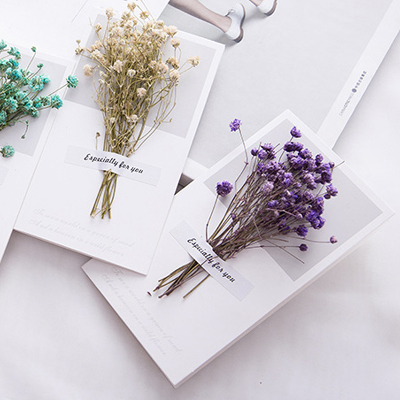 10 шт., подарочная открытка, с – обзор и цена Dried Flower Bulk